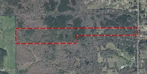 Cayce Road, Byhalia, MS 38611 photo 29