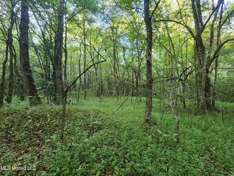 Cayce Road, Byhalia, MS 38611 photo 15