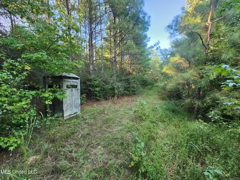 Cayce Road, Byhalia, MS 38611 photo 12