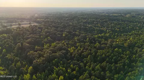 Cayce Road, Byhalia, MS 38611 photo 28