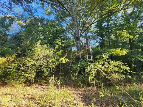 Cayce Road, Byhalia, MS 38611 photo 19