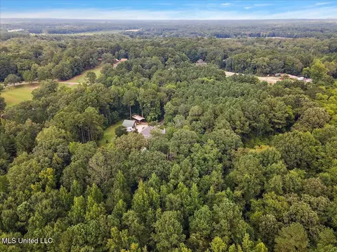 View/Area - 111 Thornton Pl, Brandon, MS 39042 photo 3 of 6