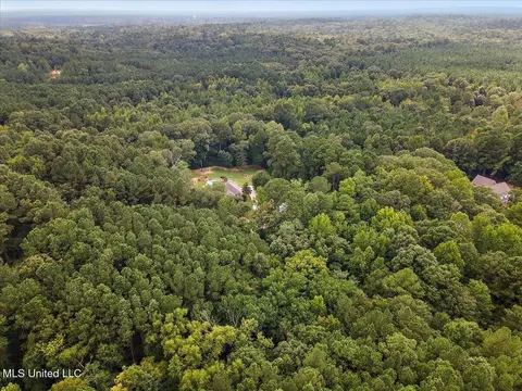 Other - 111 Thornton Pl, Brandon, MS 39042 photo 14 of 16
