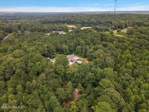 View/Area - 111 Thornton Pl, Brandon, MS 39042 photo 4 of 6