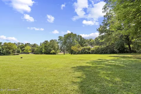 209 Sunset Cir, Madison, MS 39110 photo 54