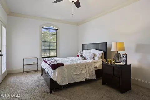 209 Sunset Cir, Madison, MS 39110 photo 41