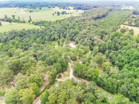 106 Sallie Rd, Wiggins, MS 39577 photo 16