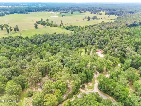 106 Sallie Rd, Wiggins, MS 39577 photo 19