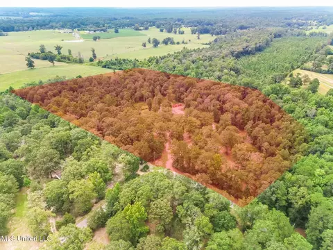106 Sallie Rd, Wiggins, MS 39577 photo 15