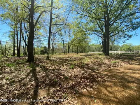 568 S Laughter Rd, Hernando, MS 38632 photo 2