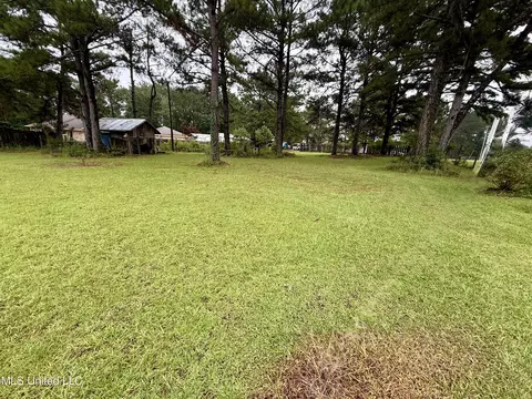 Exterior - 312 Oak Grove Rd, Tylertown, MS 39667 photo 3 of 4