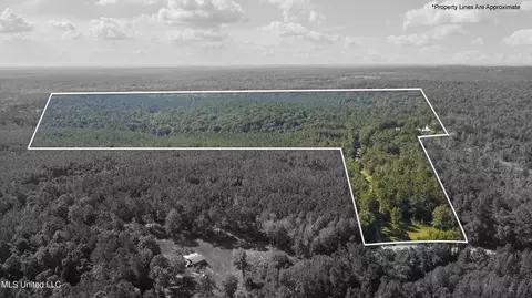 3007 Wilkins Chapel Rd, Holly Springs, MS 38635