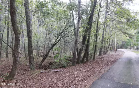 Westline Lots Drive, Madison, MS 39110 photo 2