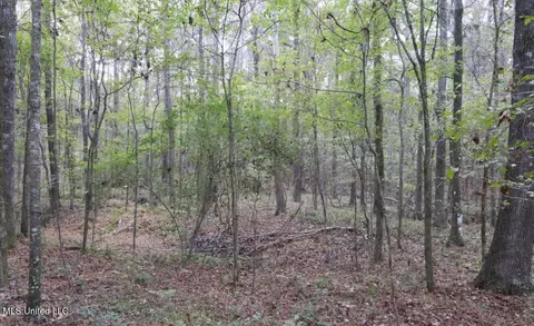 Westline Lots Drive, Madison, MS 39110 photo 3