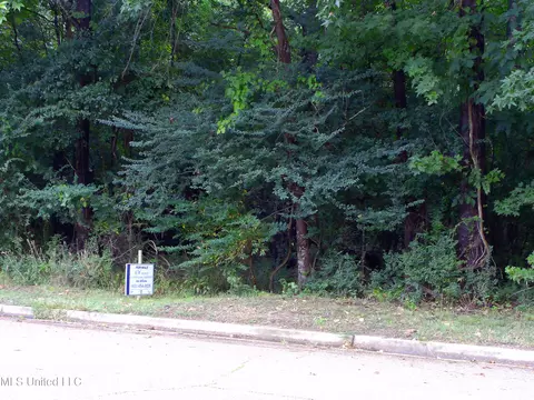 Woodbridge Drive, Madison, MS 39110