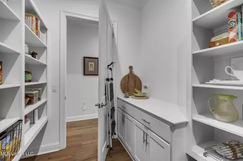Other - 144 Herons Bay Cir, Madison, MS 39110 photo 8 of 18
