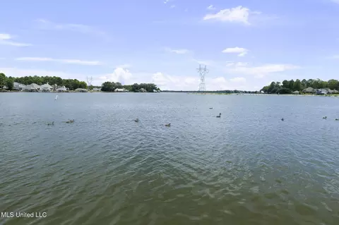 View/Area - 144 Herons Bay Cir, Madison, MS 39110 photo 1 of 8