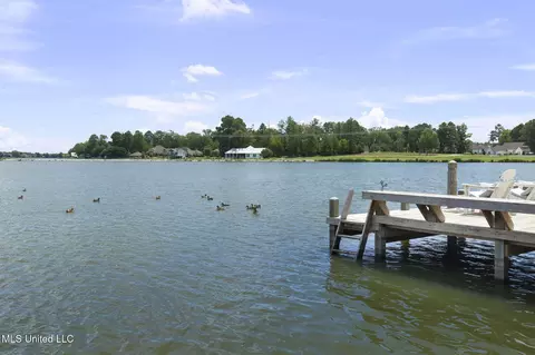 View/Area - 144 Herons Bay Cir, Madison, MS 39110 photo 3 of 8