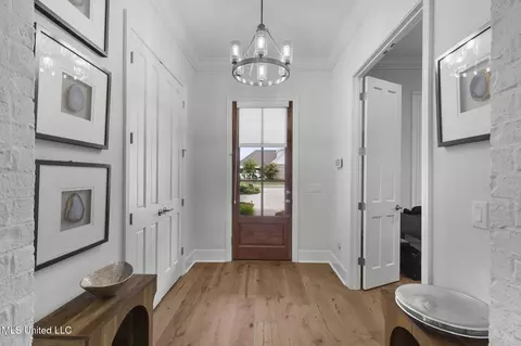 Entry Way - 144 Herons Bay Cir, Madison, MS 39110 photo 1 of 9