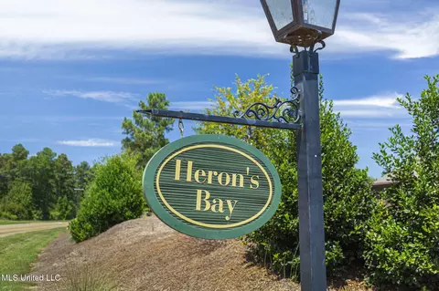 Other - 144 Herons Bay Cir, Madison, MS 39110 photo 18 of 18