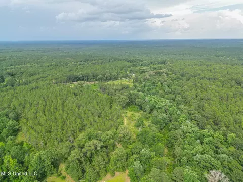 212 Tower Rd, Wiggins, MS 39577 photo 2