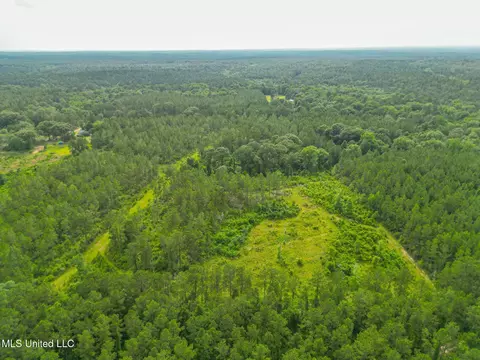 212 Tower Rd, Wiggins, MS 39577 photo 3