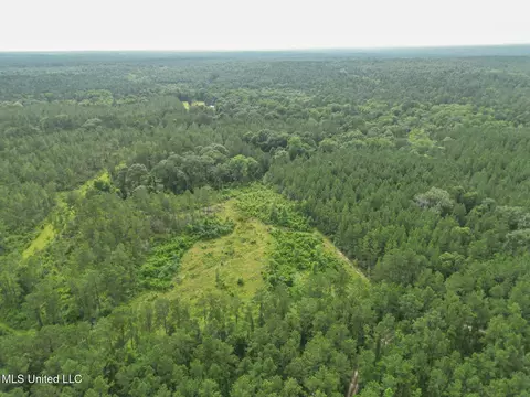 212 Tower Rd, Wiggins, MS 39577 photo 4