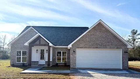 41 Sones Chapel Rd, Carriere, MS 39426
