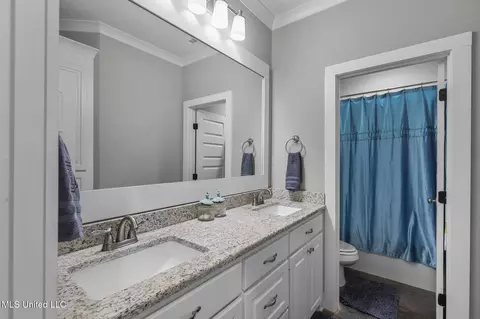 Other - 251 Tucker Dr, Brandon, MS 39042 photo 8 of 12