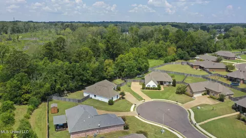 View/Area - 251 Tucker Dr, Brandon, MS 39042 photo 4 of 8