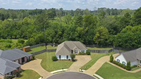 View/Area - 251 Tucker Dr, Brandon, MS 39042 photo 1 of 8