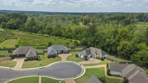 View/Area - 251 Tucker Dr, Brandon, MS 39042 photo 2 of 8