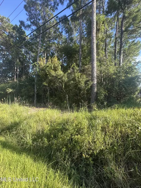 Spring Avenue, Ocean Springs, MS 39564