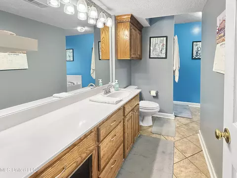 Bath - 1128 Ellington Ct, Brandon, MS 39042 photo 1 of 3