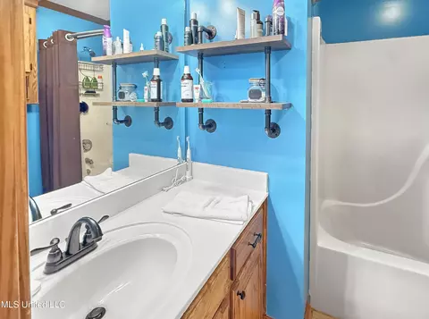 Bath - 1128 Ellington Ct, Brandon, MS 39042 photo 3 of 3