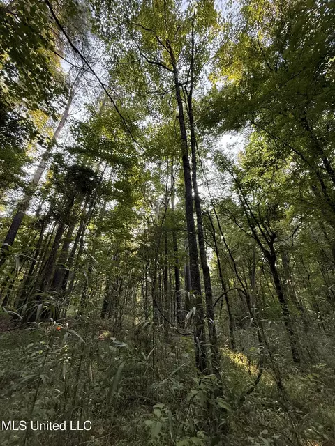 Sumrall Road, Crystal Springs, MS 39059