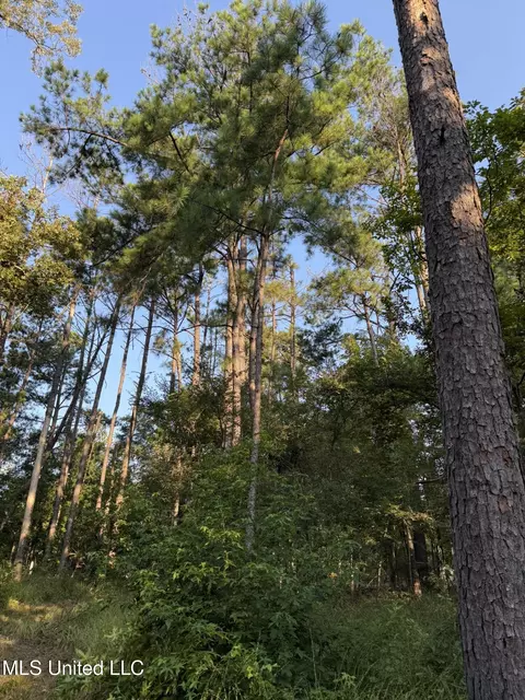 Sumrall Road, Crystal Springs, MS 39059