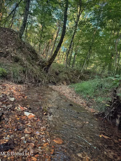 Sumrall Road, Crystal Springs, MS 39059