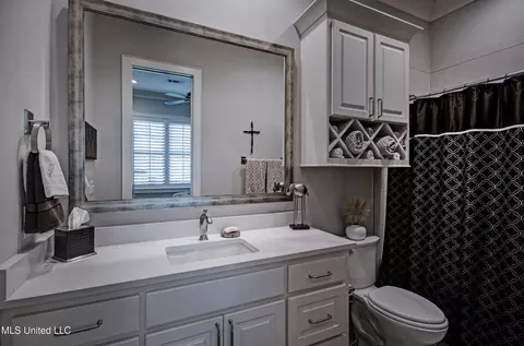 Bath - 175 Harbor View Dr, Madison, MS 39110 photo 8 of 11