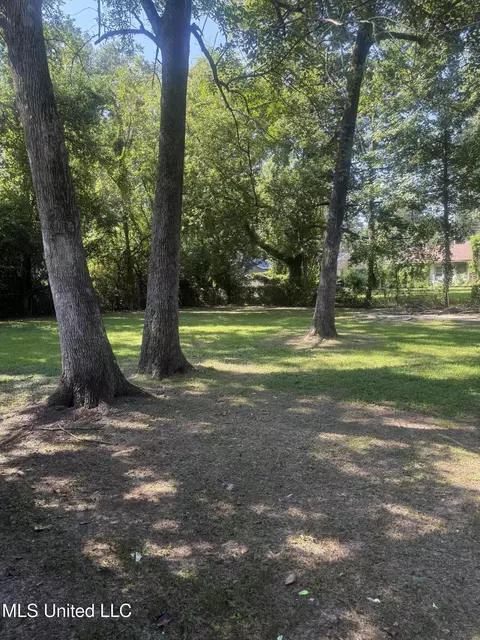 Exterior - 3133 Longwood Dr, Jackson, MS 39212 photo 5 of 8