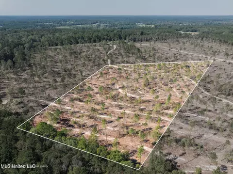8 24 - Acres Noel Townsend Rd, Seminary, MS 39479