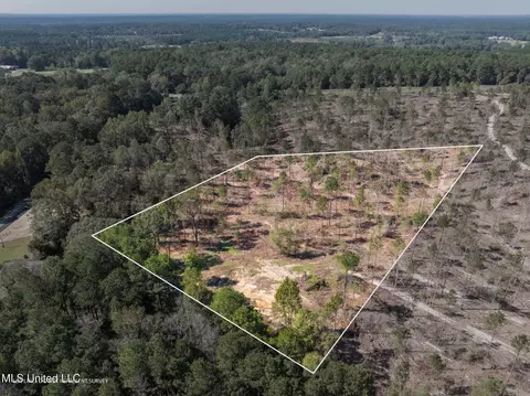 6 74 - Acres Noel Townsend Rd, Seminary, MS 39479