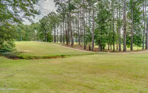 Other - 1013 Fairway Cv, Brandon, MS 39047 photo 12 of 14