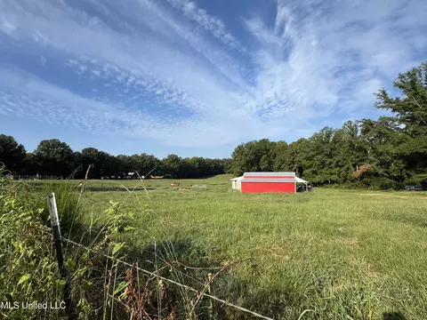51 Gunter St, Lena, MS 39094