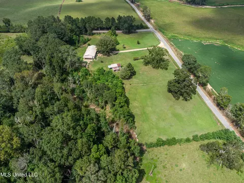 View/Area - 187 Overby Rd, Magee, MS 39111 photo 11 of 17