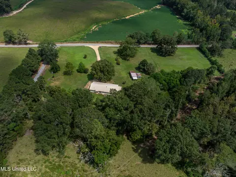 View/Area - 187 Overby Rd, Magee, MS 39111 photo 10 of 17