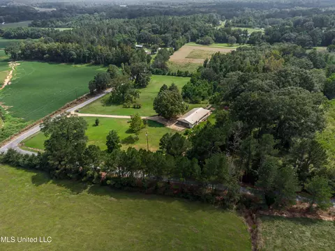 View/Area - 187 Overby Rd, Magee, MS 39111 photo 7 of 17