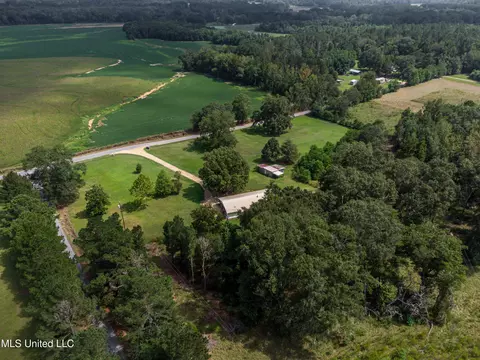 View/Area - 187 Overby Rd, Magee, MS 39111 photo 9 of 17
