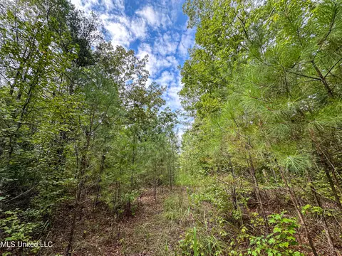 01 Highway 82, Maben, MS 39750 photo 34