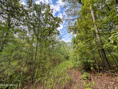 01 Highway 82, Maben, MS 39750 photo 35